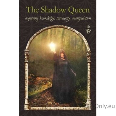 Wisdom of the Hidden Realms Oracle kortos Hay House