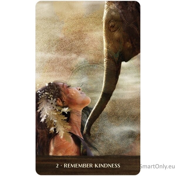 Wild woman rising Oracle kortos US Games Systems 3 Wild woman rising Oracle kortos US Games Systems 3