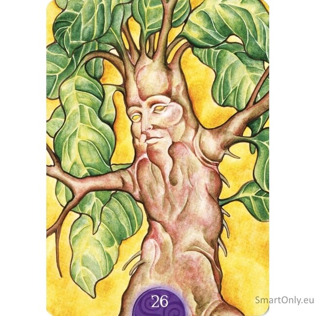 Wicca Oracle Kortos Lo Scarabeo 6