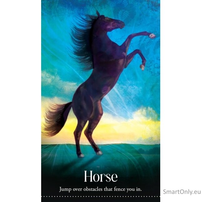 Wild Dreams Animal Oracle Kortos Blue Angel 4 Wild Dreams Animal Oracle Kortos Blue Angel 4