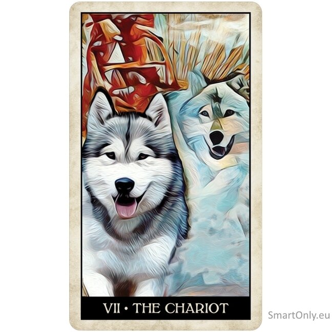 Wise Dog Taro kortos US Games Systems 3 Wise Dog Taro kortos US Games Systems 3