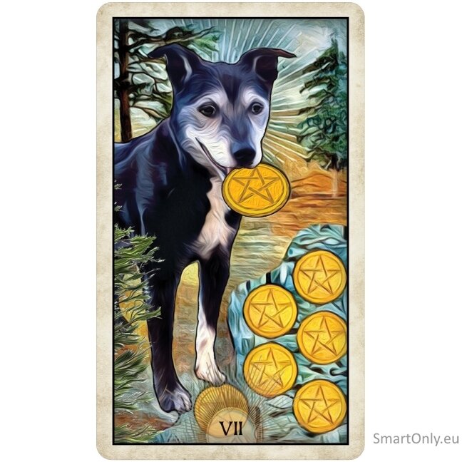 Wise Dog Taro kortos US Games Systems 4 Wise Dog Taro kortos US Games Systems 4