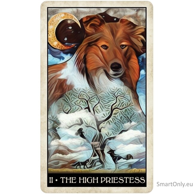 Wise Dog Taro kortos US Games Systems 7 Wise Dog Taro kortos US Games Systems 7