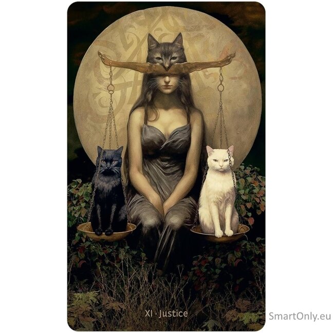 W.I.T.C.H. Tarot kortos US Games Systems 4 W.I.T.C.H. Tarot kortos US Games Systems 4