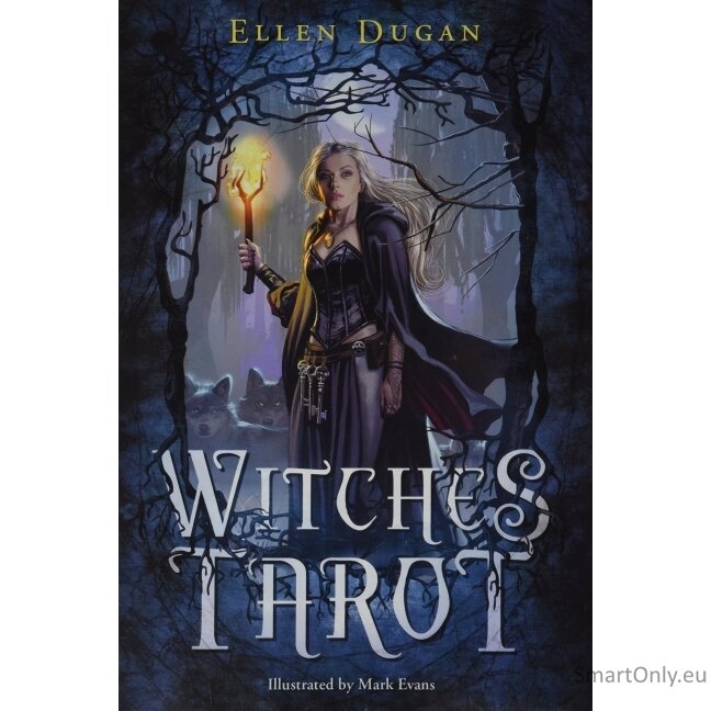 Witches Taro Kortos Llewellyn 6