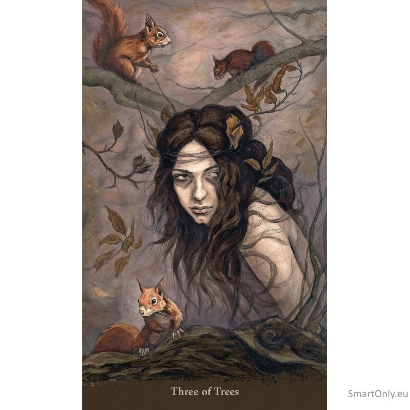 Witch Sister Taro kortos Llewellyn 2 Witch Sister Taro kortos Llewellyn 2