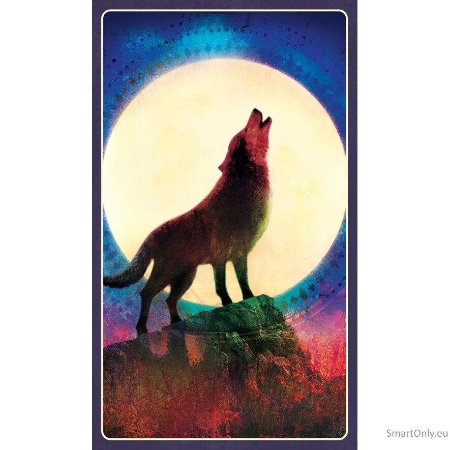Wild Dreams Animal Oracle Kortos Blue Angel 9