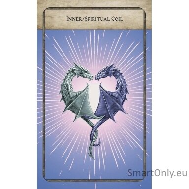 World Dragon Oracle rinkinys Llewellyn