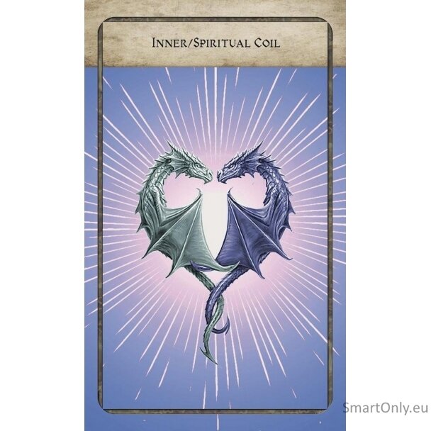 World Dragon Oracle rinkinys Llewellyn 1