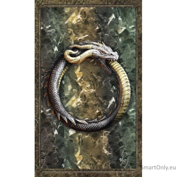 World Dragon Oracle rinkinys Llewellyn 4 World Dragon Oracle rinkinys Llewellyn 4