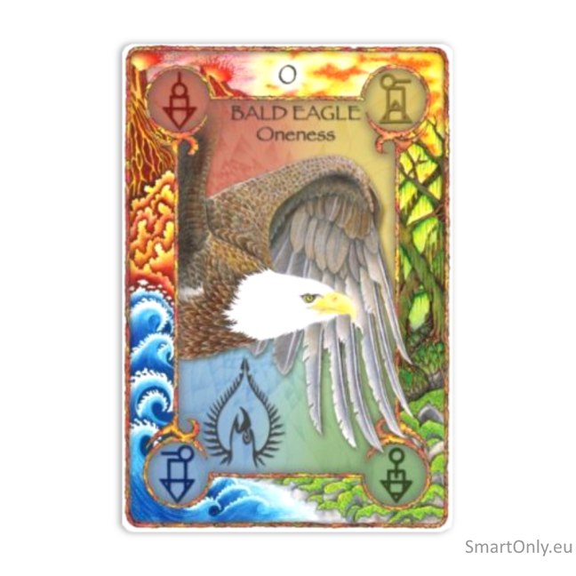 World Animal Dreaming Oracle kortos 5 World Animal Dreaming Oracle kortos 5