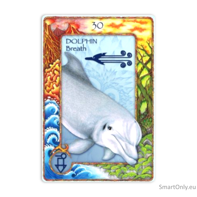 World Animal Dreaming Oracle kortos 6
